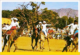 Central and  North India Tour - Fair, Pushkar