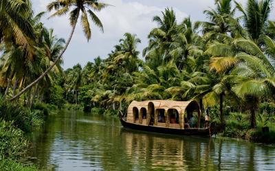 Whispers of Kerala: A Journey Through Green & Gold
