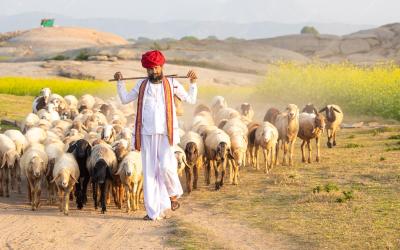 Rajasthan In A Responsible Way