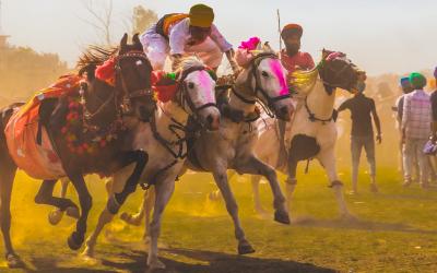 The Sikh Saga: Hola Mohalla Festival & Golden Temple